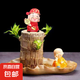 巴西木開花水養(yǎng)格魯特小木人水培幸運木室內(nèi)好養(yǎng)懶人花卉綠植盆栽 巴西木+荷葉盆+不想和尚+財神+營養(yǎng)液 【帶芽發(fā)貨】裸根不帶土高10-15厘米