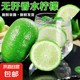 無籽香水檸檬新鮮采摘獨立包裝 【單果70g+】 1斤裝