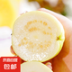 福建黃金奶油芭樂番石榴 冰激凌口感當(dāng)季現(xiàn)摘新鮮水果京東快遞 白心奶油芭樂4.5斤裝