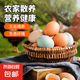 九華山林間散養(yǎng)綠殼烏雞蛋混合裝土雞蛋35-45g/枚早餐溏心蛋買菜 50枚（25枚土雞蛋+25枚烏雞蛋）