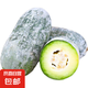 云南迷你香冬瓜現(xiàn)摘現(xiàn)發(fā)小冬瓜迷你白皮冬瓜新鮮蔬菜生鮮刮油減脂 新鮮小冬瓜 2斤