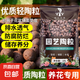 陶粒墊底盆栽多肉營養(yǎng)土養(yǎng)花專用魚缸水培透氣回填花盆彩色鋪面石 優(yōu)質陶粒中號1-1.5cm【1升】