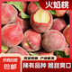 山東蒙陰蜜桃新鮮現(xiàn)摘應季孕婦水果（個頭適中）田園 帶箱2斤 100g+