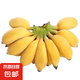京喜自營 廣西網(wǎng)紅小米蕉 青香蕉發(fā)貨放熟吃 新鮮水果一件包郵 青蕉發(fā)貨 凈重5斤