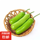 農(nóng)家新鮮現(xiàn)摘瓠子瓜蒲瓜胡瓜新鮮蔬菜生鮮夜開花 瓠瓜 4斤 帶箱