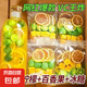 【夏日冷泡茶】金桔檸檬百香果茶獨(dú)立包裝養(yǎng)生茶VC美白水果茶 體驗(yàn)裝10包80g