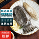 大墨魚 魚 鮮活冷凍舟山海捕東海特大目魚烏賊海鮮水產(chǎn)非墨魚仔 墨魚 5斤(凈重)