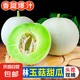 玉菇甜瓜冰淇淋現(xiàn)摘正宗新鮮水果整箱當季水果香瓜冰淇淋 【超值裝】 5斤(凈重4.7斤)