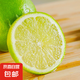檸檬 塔西提青檸檬 無(wú)籽檸檬 皮薄多汁 香水檸檬 奶茶店專(zhuān)用1斤裝 嘗鮮裝帶箱500g（精選果）