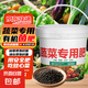 蔬菜專用有機(jī)肥料復(fù)合肥蔬菜農(nóng)用種蔬菜園水果樹緩釋肥控釋蔬菜肥 蔬菜專用有機(jī)菌肥【20斤桶裝】 微生物菌劑【有效活菌≥3億/g】