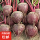 甜菜根新鮮現(xiàn)挖5斤甜菜頭紫菜頭紅甜菜可榨汁農(nóng)產(chǎn)品紅菜頭蘿卜頭 甜菜根5斤中果4-8個