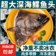 深海鰈魚頭超大鴉片魚頭特大蝶魚頭魚身魚排商用新鮮冷凍燒烤食材 2個鰈魚頭【1.2-1.5斤/個 】