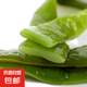 裙帶菜梗段片鹽漬半干海白菜非即食 裙帶菜蝦皮湯 火鍋食材 鹽漬裙帶梗3斤