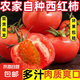 西紅柿水果沙瓤番茄多汁新鮮蔬菜生鮮減肥減脂可生吃 西紅柿 1斤 試吃款