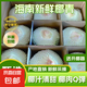 海南文昌去皮椰青大果特產(chǎn)熱帶孕婦補(bǔ)羊水水果當(dāng)季現(xiàn)摘椰子蛋椰汁 椰青2個(gè)裝單果2-2.5斤 帶箱約5斤
