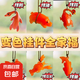 變色烤鴨掛件創(chuàng)意車(chē)載掛飾可愛(ài)臉紅鴨子小乳豬后視鏡車(chē)內(nèi)掛飾 變色掛飾-【全套】