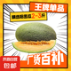 現(xiàn)貨正宗保甜當(dāng)季新鮮水果脆甜曉蜜哈密瓜 精選2-3斤（1顆裝）