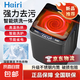 Hairi洗衣機(jī)全自動(dòng)16公斤大容量洗烘脫一體波輪家用宿舍出租屋酒店智能除漬丨京東物流 10KG【一鍵洗滌+洗烘一體+桶自潔】