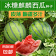 【西瓜套餐】西瓜種子西瓜陽臺盆栽農(nóng)家田園瓜種大全各種各樣 冰糖麒麟西瓜種子1包約50粒