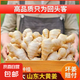 山東新鮮大姜超市生鮮蔬菜老姜即食水果生姜水洗凈姜 山東大姜凈重 1斤