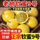 廣西黃金百香果純甜欽蜜9號(hào)妃多多新鮮應(yīng)季孕婦水果 5顆小果【嘗鮮裝】 【黃金百香果】越皺越甜越好吃