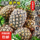 云南黑鉆鳳梨牛奶鳳梨新鮮水果手撕鳳梨現(xiàn)摘應(yīng)季非菠蘿整箱包郵 2個(gè)裝 單果1.3斤起