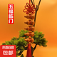 精品葫蘆串解決門(mén)對(duì)門(mén)十福葫蘆掛件五福臨門(mén)旺宅十全十美小葫蘆 五福臨門(mén)【1條】