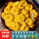 【凈重】正宗懷菊花四大懷藥清熱去火養(yǎng)肝明目無硫人工采摘菊花茶 正宗懷菊花茶【40g】約120朵
