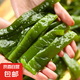 裙帶菜梗段片鹽漬半干海白菜非即食 裙帶菜蝦皮湯 火鍋食材 鹽漬裙帶梗250g