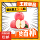 浙合優(yōu)品煙臺(tái)蘋(píng)果棲霞紅富士新鮮水果時(shí)令生鮮山東特產(chǎn)脆甜蘋(píng)果 帶箱2斤3個(gè)凈1.5斤