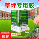 草坪專用膠假草皮環(huán)保大桶膠水人工仿真草戶外防水學(xué)校操場幼兒園 防水草坪膠10公斤-贈(zèng)送刷子刮板