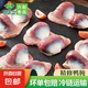 鮮凍鴨胗 鴨肫鴨胃生鮮六和鴨肫生鴨貨組合速凍鹵味食材 六和鴨胗(s）2斤