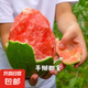 山東正宗頭茬2k手剝皮小西瓜薄皮新鮮冰激凌小糖丸超甜手撕小吊瓜 凈重3-4斤 手撕小西瓜