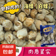海螺白螺貝殼類海鮮海螺刺身海鮮撈汁海鮮水產(chǎn)下酒菜 海螺1kg/袋【15％-20％冰】*1袋