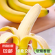 高山大香蕉現(xiàn)摘新鮮水果萬(wàn)澄孕婦水果青香蕉發(fā)貨生鮮自然熟放熟吃 廣西香蕉1斤