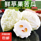 【超市品質(zhì)】蘋果苦瓜山東白玉苦瓜現(xiàn)摘農(nóng)家自種新鮮蔬菜生鮮 蘋果苦瓜 4斤 凈重