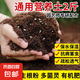 營養(yǎng)土通用型土壤有機(jī)種花養(yǎng)花土綠植種菜花肥種花種菜土 【泥炭5合一營養(yǎng)土】已殺菌蟲2斤