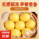 五谷雜糧包窩窩頭 早餐半成品粗糧細(xì)作方便速食加熱即食 玉米雜糧窩窩頭220克*6袋