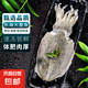 大墨魚 魚 鮮活冷凍舟山海捕東海特大目魚烏賊海鮮水產(chǎn)非墨魚仔 墨魚 2斤(凈重)