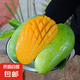 【熱銷(xiāo)】云南大青芒金煌芒 帶箱5斤【單果400g+】
