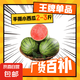 山東正宗頭茬2k手剝皮小西瓜薄皮新鮮冰激凌小糖丸超甜手撕小吊瓜 凈重2-3斤 手撕小西瓜