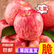 脆甜煙臺紅富士蘋果丑蘋果大果棲霞紅富士蘋果平果當(dāng)季應(yīng)季水果 山東煙臺蘋果 凈4斤85mm+