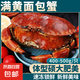 滿黃大面包蟹帝王蟹鮮活熟凍大螃蟹海蟹新鮮海鮮水產(chǎn)黃金蟹珍寶蟹 【1只】滿黃面包蟹 滿黃【400-500g/只】