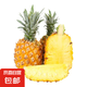 廣東香水菠蘿 正宗徐聞菠蘿 新鮮水果現(xiàn)采現(xiàn)摘非鳳梨整箱包郵 【嘗鮮】1個(gè)裝 單果1.5斤起