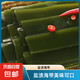 鹽漬海帶片涼拌燒湯蔥油裙帶菜網(wǎng)紅小吃干貨海葡萄海帶苗裙帶菜 鹽漬海帶片普通款500克*1袋