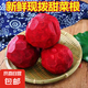 甜菜根新鮮現(xiàn)挖5斤甜菜頭紫菜頭紅甜菜可榨汁農(nóng)產(chǎn)品紅菜頭蘿卜頭 甜菜根5斤小果個(gè)數(shù)隨機(jī)