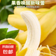 海南甜香蕉 現(xiàn)摘現(xiàn)發(fā) 到貨3-5天可食用新鮮水果 海南超甜香蕉 半斤 香甜