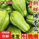 正宗云南現(xiàn)摘現(xiàn)發(fā)佛手瓜洋瓜新鮮時(shí)令蔬菜生鮮 佛手瓜 1斤 帶箱