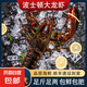 【百元波龍超值】榭巢波士頓龍蝦鮮活速凍大號波龍3-8斤 3-3.5斤/只