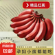 紅美人香蕉皮薄肉厚更香更甜泰韻新鮮水果云南現(xiàn)摘現(xiàn)發(fā) 云南新鮮現(xiàn)摘紅皮香蕉五斤